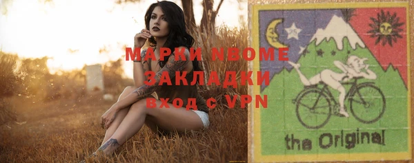 индика Волоколамск