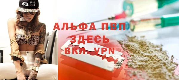 индика Волоколамск