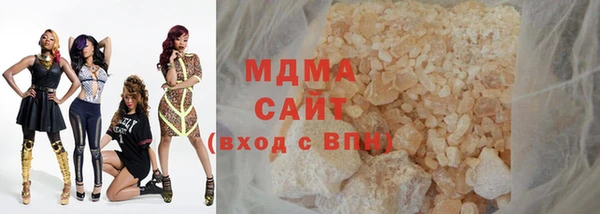 индика Волоколамск