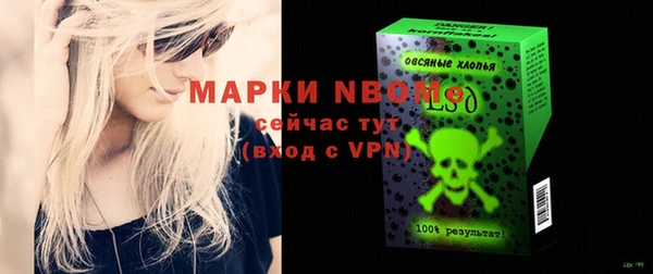 индика Волосово