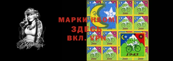индика Волосово