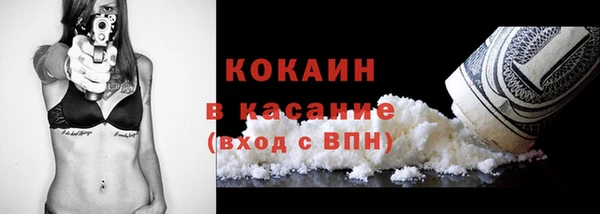 индика Волосово