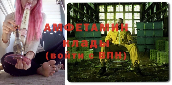индика Волоколамск