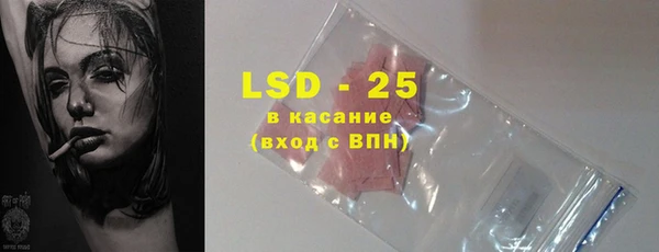 индика Волосово
