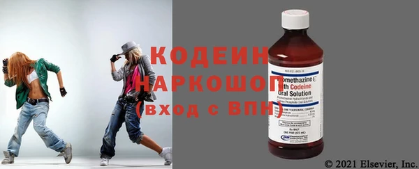 индика Волоколамск