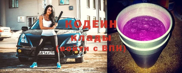 индика Волосово