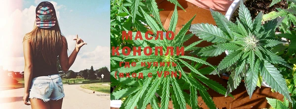 индика Волосово