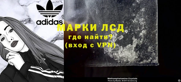 индика Волоколамск