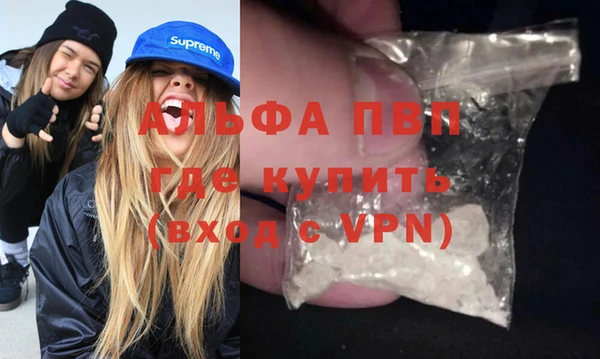 индика Волосово