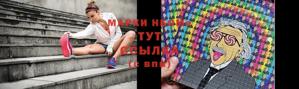 индика Волоколамск