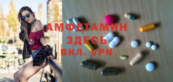 индика Волосово